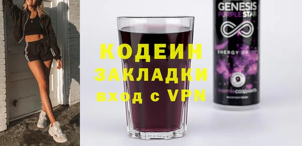 твердый Новодвинск