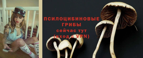 твердый Новодвинск