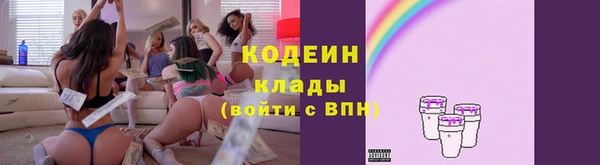 твердый Новодвинск