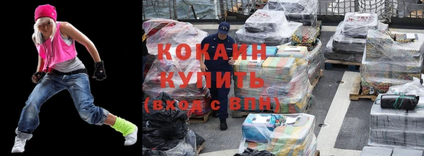 твердый Новодвинск