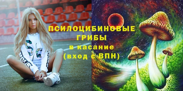 2c-b Новозыбков