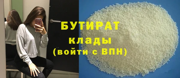 твердый Новодвинск