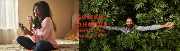 2c-b Новозыбков